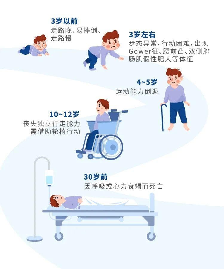 Nature|首次“看清”肌营养不良症核心蛋白！为基因治疗肌营养不良症提供新线索