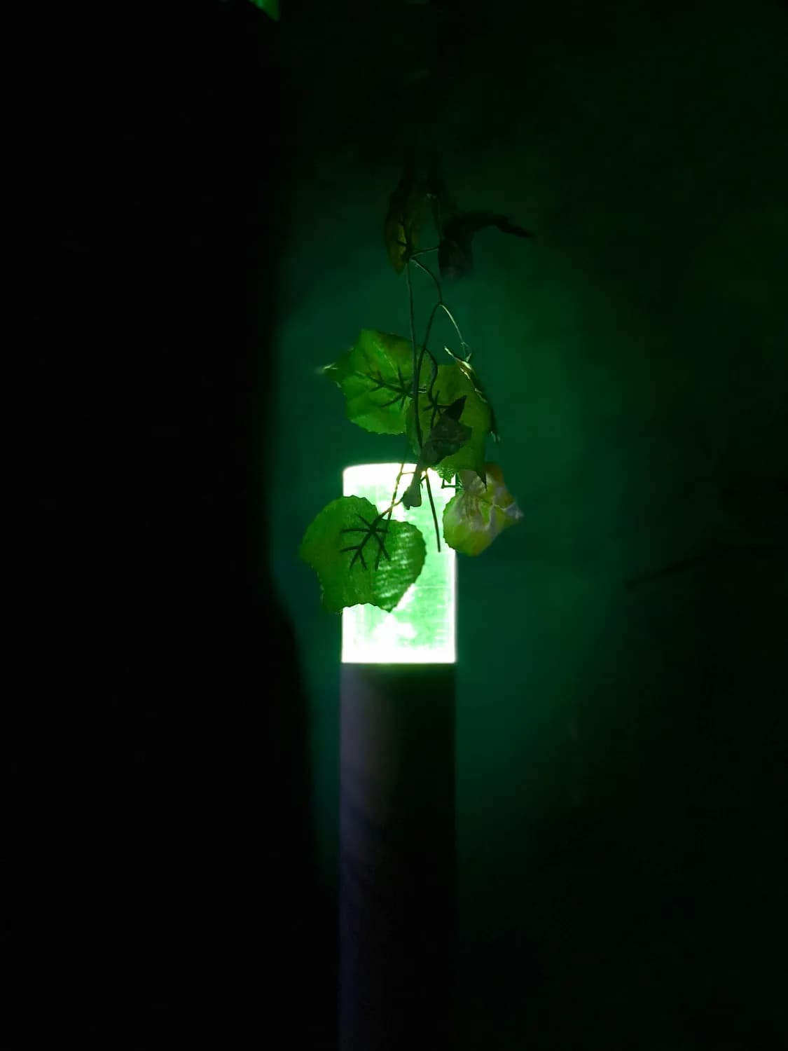 手电筒照出蔬菜的秘密：荧光效应的科学解释