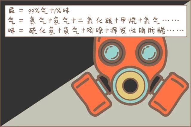 为什么响屁不臭，臭屁不响？一文读懂放屁背后的科学原理