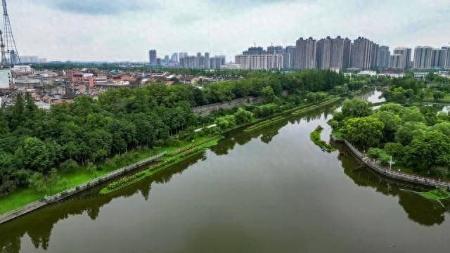 湖北荆州：绿动未来，共筑生态梦