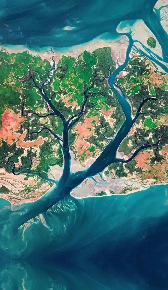 【地理拓展】高考地理中的河口三角洲、洋流分布！