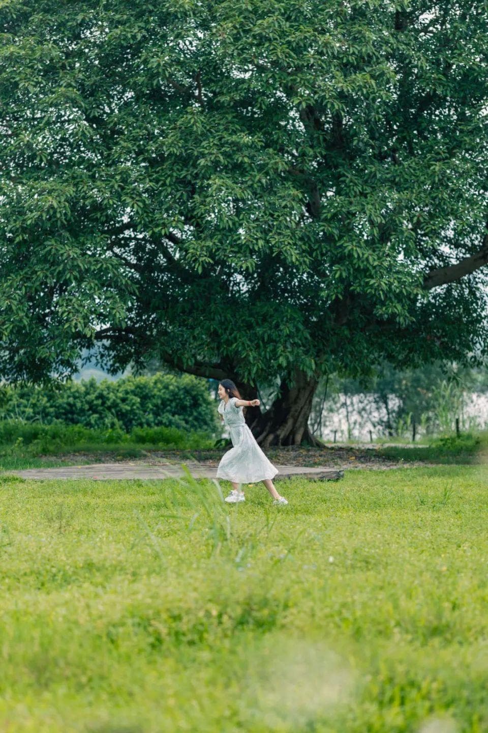 大多免门票！南海这10个宝藏拍照地，一个比一个好看！