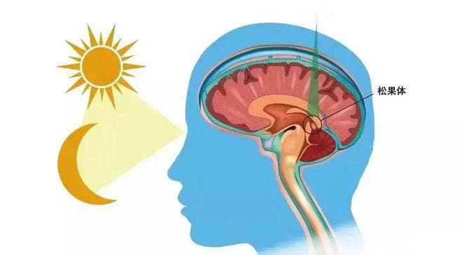 孩子晚上睡觉必须全黑吗？窗帘漏光、开小夜灯有影响吗？