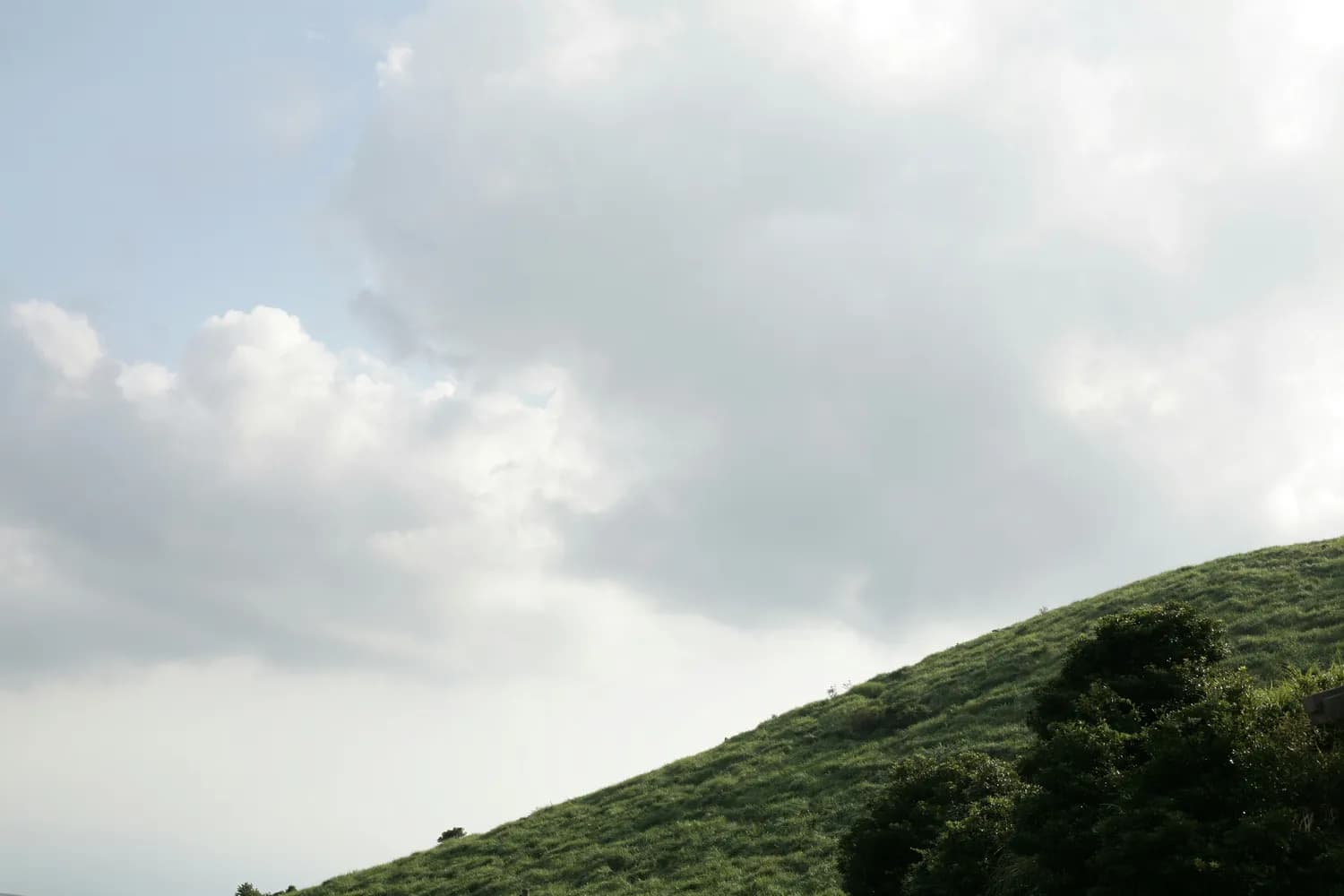 《花千骨》再登热搜：一部现象级剧集的长尾效应