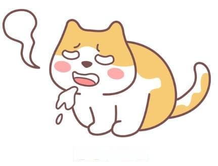 口臭不再是问题！猫咪清新口气指南