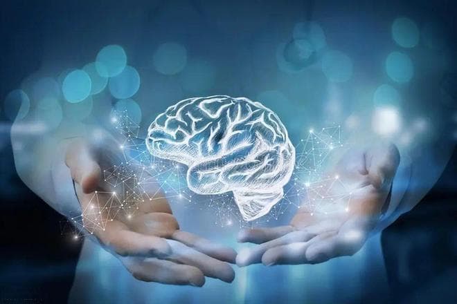 记忆的科学基础：从神经机制到编码存储