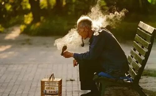退休后最幸福的活法，是保持这四个习惯