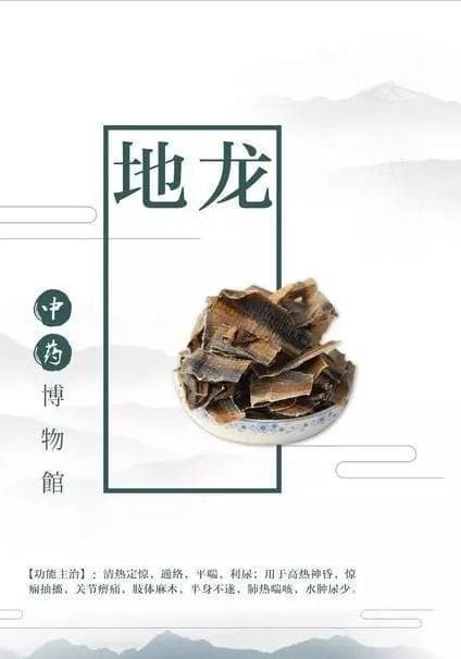 地龙药理研究新进展：降压平喘功效获现代科学证实