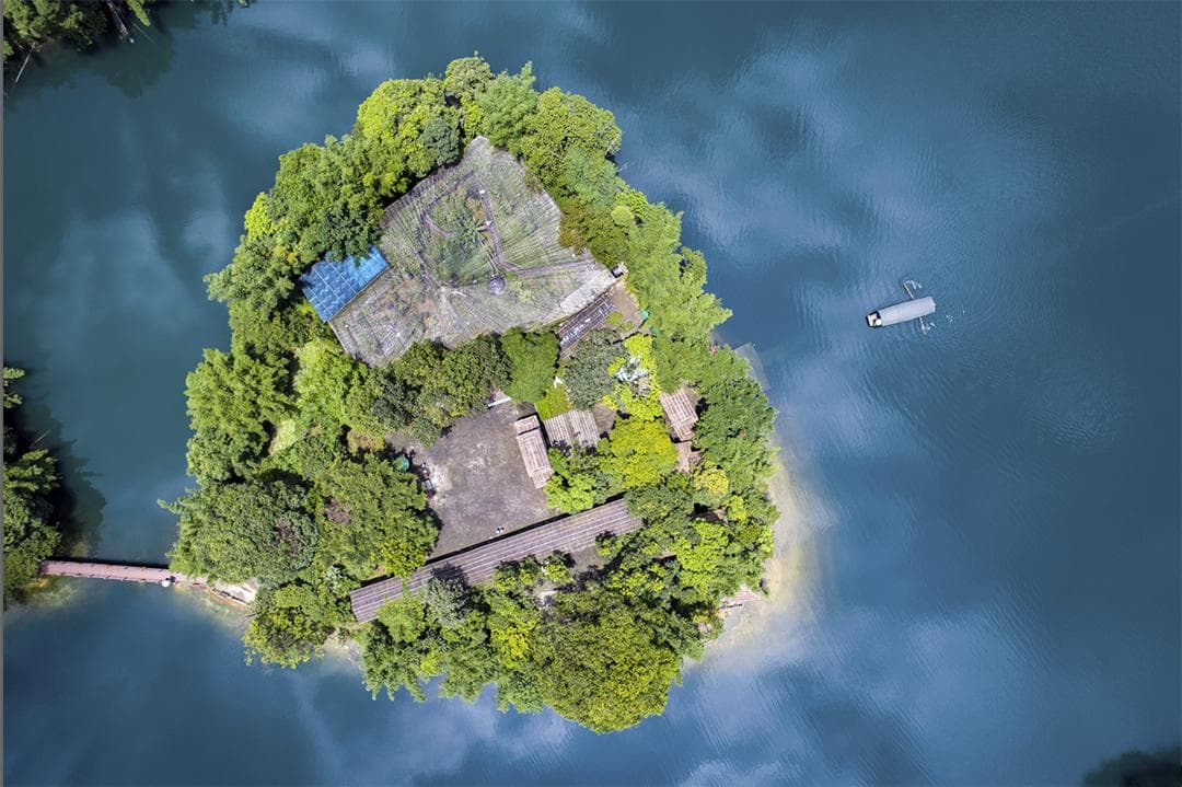 “科学教育+自然教育”的“鼎湖山模式”