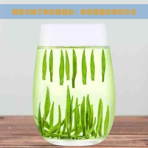 菊苣与栀子茶的健康功效：降低尿酸的有效方法