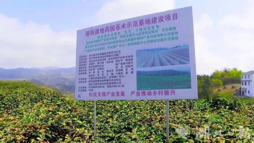 郧西县发展“郧七味”中药材奏响“富民曲”