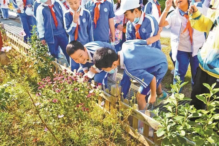 走，到校园外去上课！深圳"每周半天计划"解锁跨学科多元教学新境界