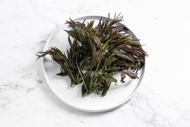 香椿：被誉为“树上蔬菜”的春季限定食材，营养价值与食用禁忌全解析