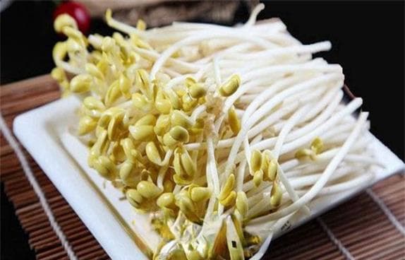 豆芽选购指南：从外观到气味的全方位检验