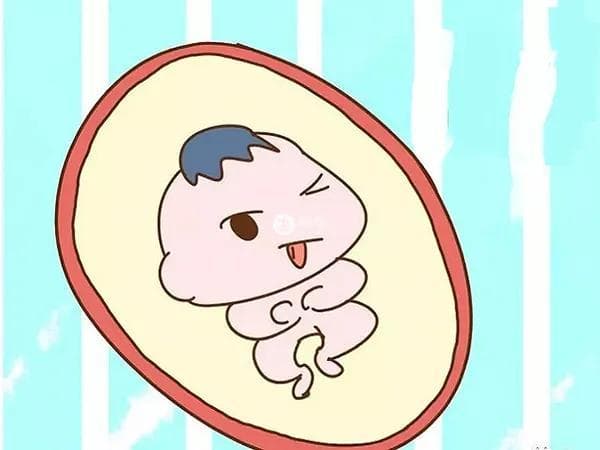 羊水深度与指数：孕期保健的重要指标