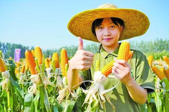 一路向“新” 豫立潮头 ——2024河南经济大盘点