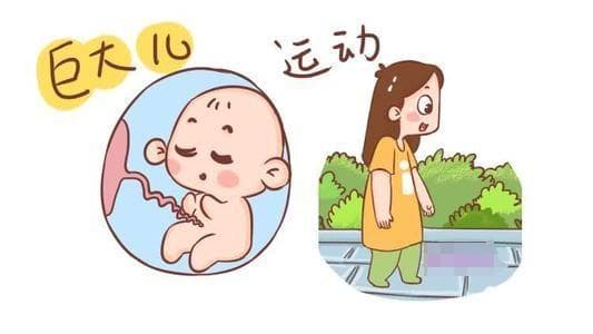 早产儿与晚产儿：谁的健康风险更大？