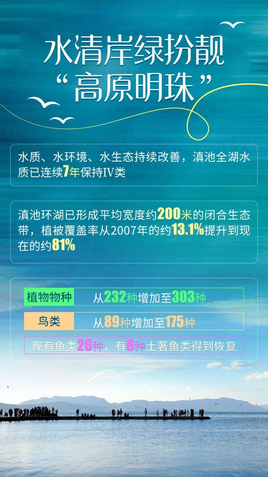 百里绿道串起滇池畔诗意生活