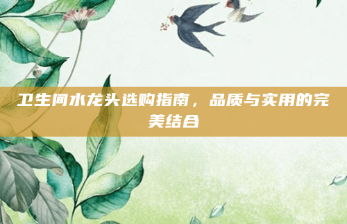 卫生间水龙头选购指南，品质与实用的完美结合