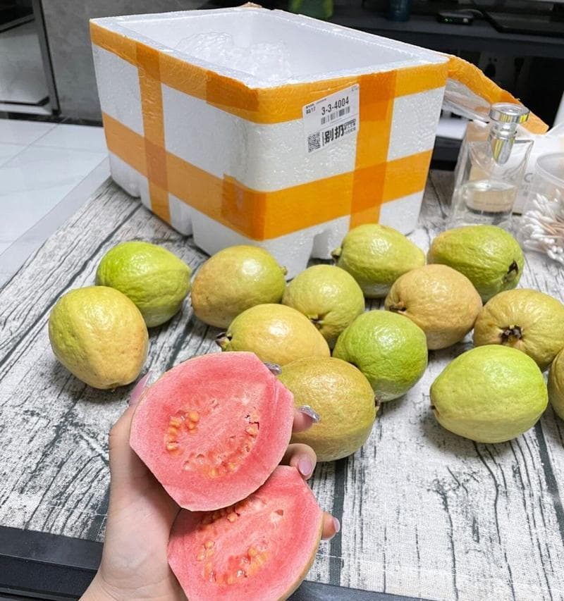 芭乐成熟期详解（了解芭乐成熟期的关键，吃到甜美的果实不在难！）