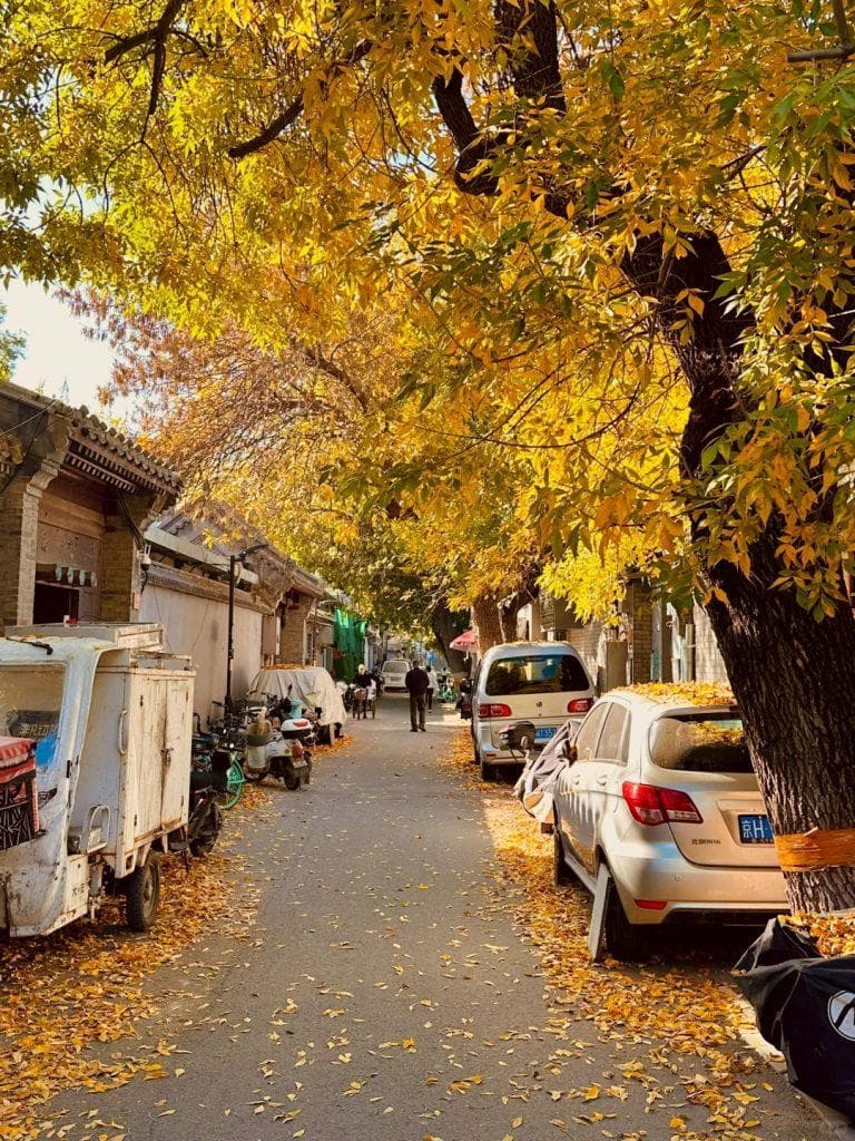 北京胡同：浓厚的历史与市井的烟火