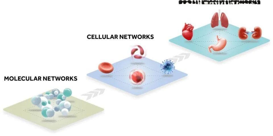 量子+AI，医疗界的下一件大事