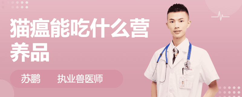 猫瘟能吃什么营养品