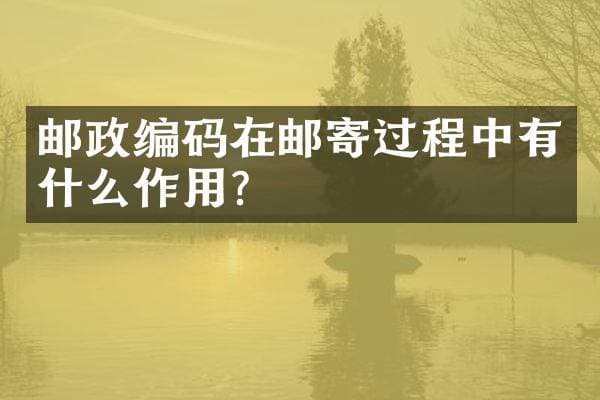 邮政编码在邮寄过程中有什么作用？