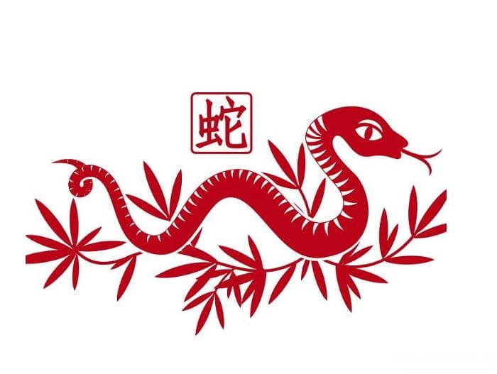 蛇生肖的神秘魅力与好运