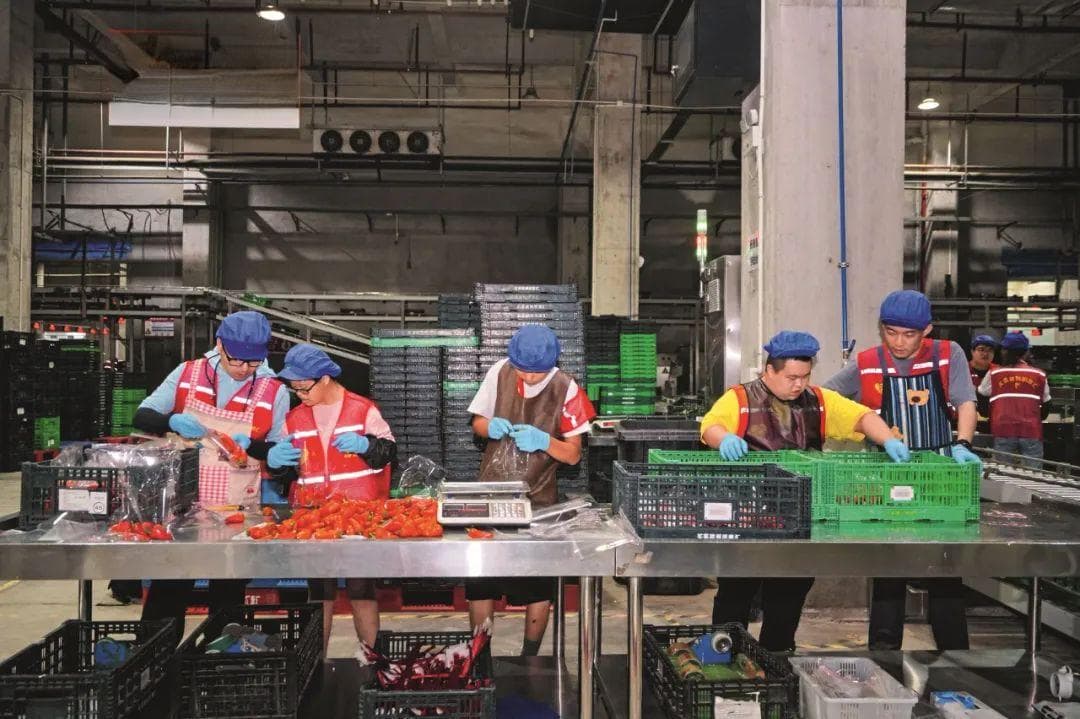 如何让残疾青年就业逆袭？这里把社区打造成最强后援团