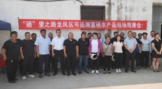 农业增效，农民增收！龙凤区走出一条“硒”望之路！