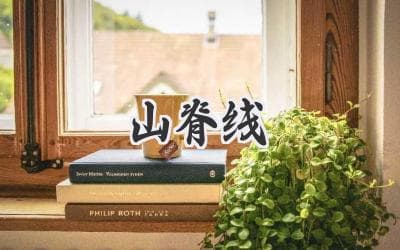 山脊线的魅力：解读自然界中的壮丽线条