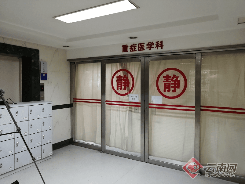 云南盈江一家四口自采误食致命鹅膏菌中毒死亡