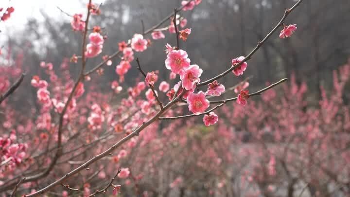 江苏南通：春潮涌动正当时 “春日经济”迸发新活力