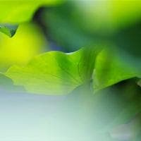 小说三要素：人物、环境、故事情节