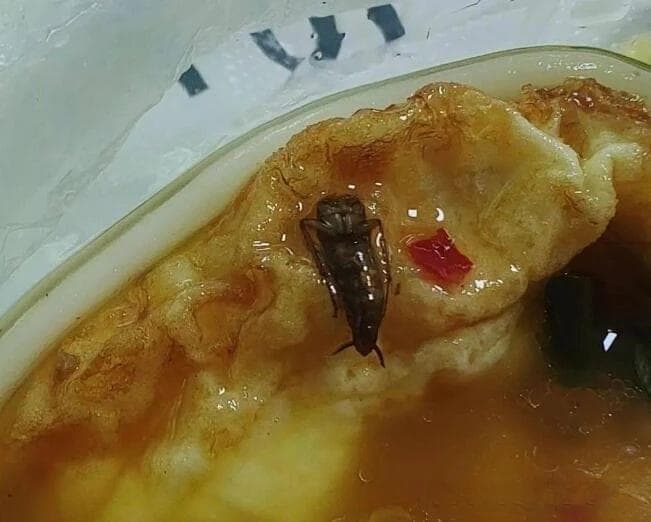 偷偷往外卖里放头发、蟑螂等异物，向商家索赔，是否违法？