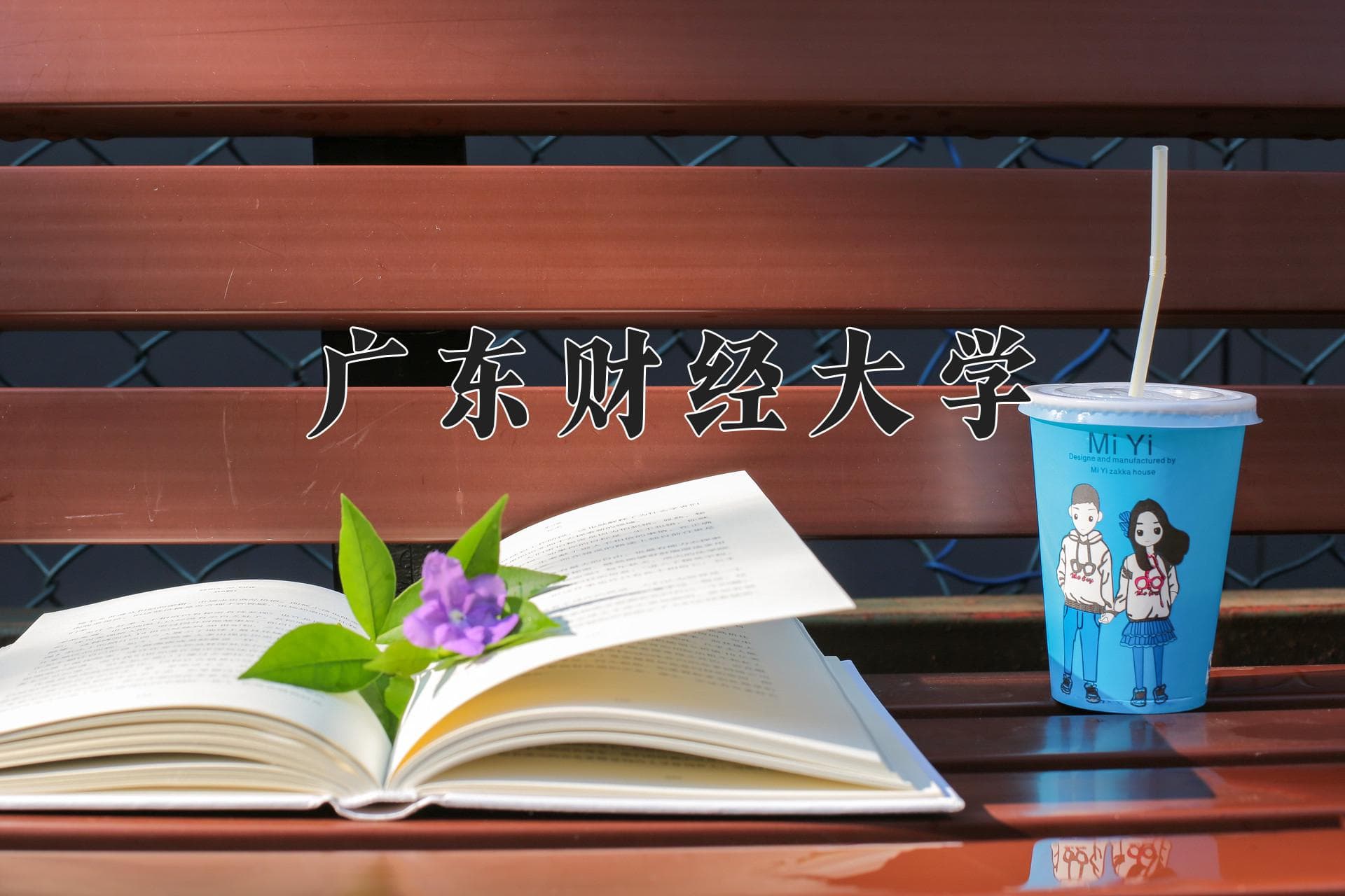 广东财经大学2024年招生章程：录取规则、收费标准全解析