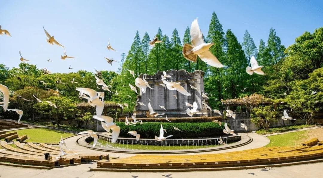 2024中山陵南京音乐台鸽子表演时间是什么时候（开放时间+攻略）
