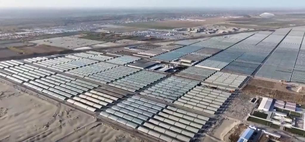 新疆和田：万亩沙漠建千座大棚，年产7万吨果蔬助振兴