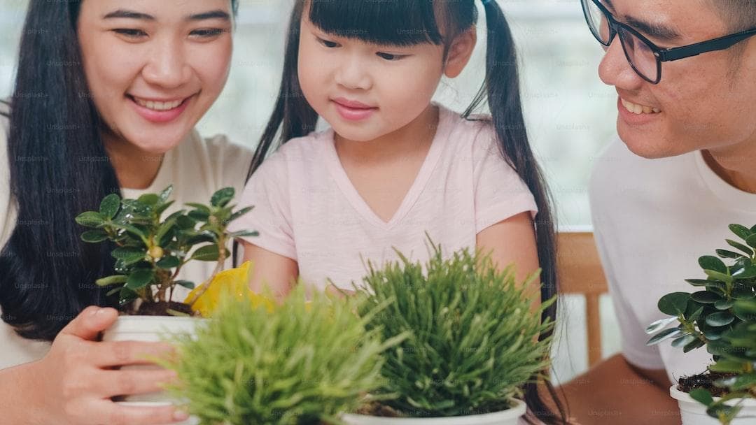 重疾保险几个月生效？重疾保险赔付流程全解析