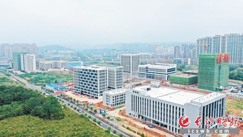 岳麓高新区：一条道路聚起一条“产业动脉”