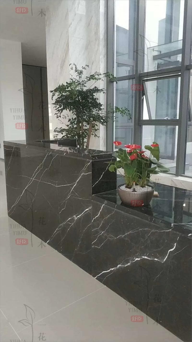 办公室绿化改造：让工作空间生机盎然，提升幸福感
