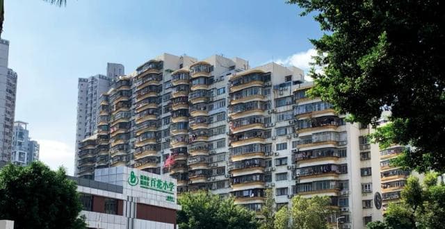 学区房价格腰斩，利好政策出台了