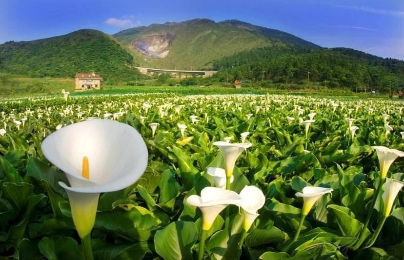 中国汉地九州之九——雍州