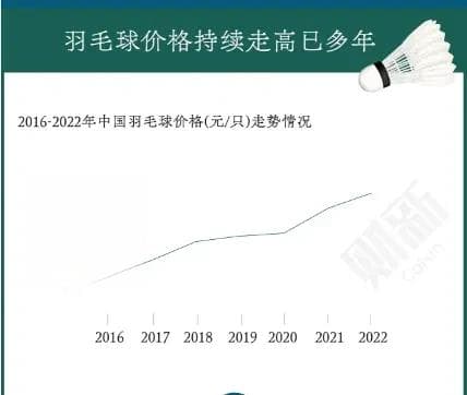 羽毛球装备价格飙升，如何选购高性价比产品？