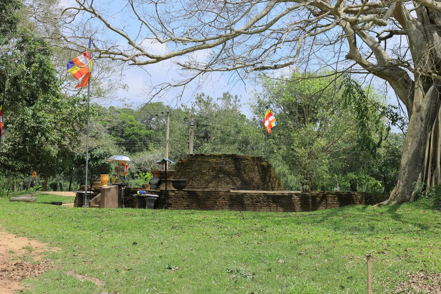 许家印祖坟风水布局曝光：从巅峰到债务危机的警示