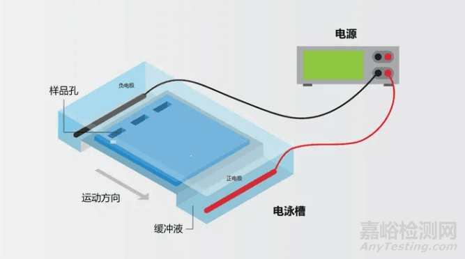 琼脂糖凝胶电泳实验的原理、步骤、结果判读及技巧