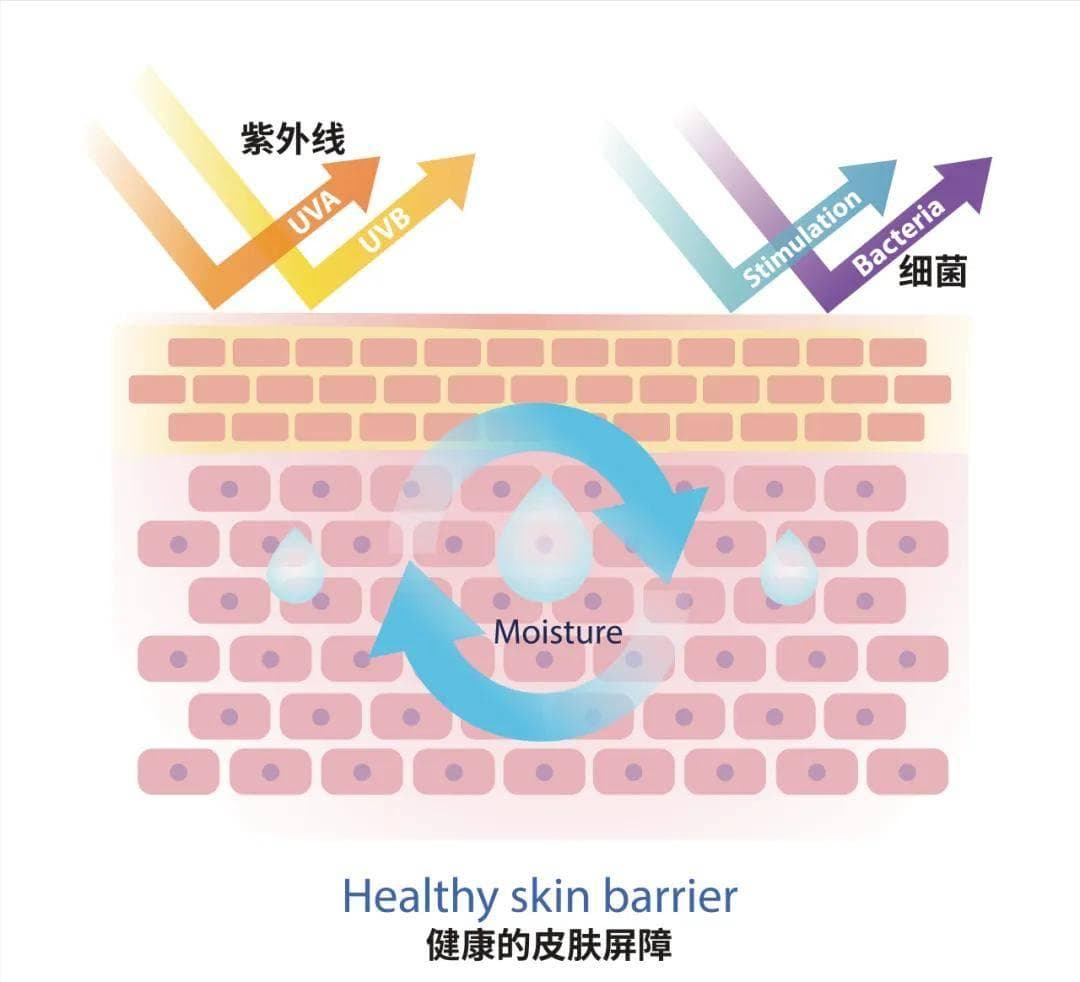 肌肤焕新指南：科学护肤，绽放美丽