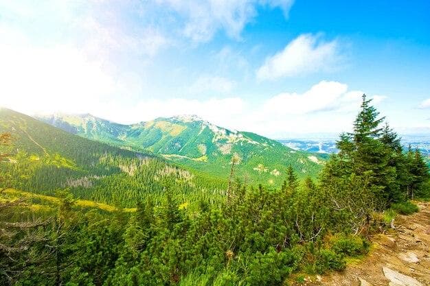 移民加拿大后，如何在当地进行文化交流活动？有哪些文化交流平台和机构