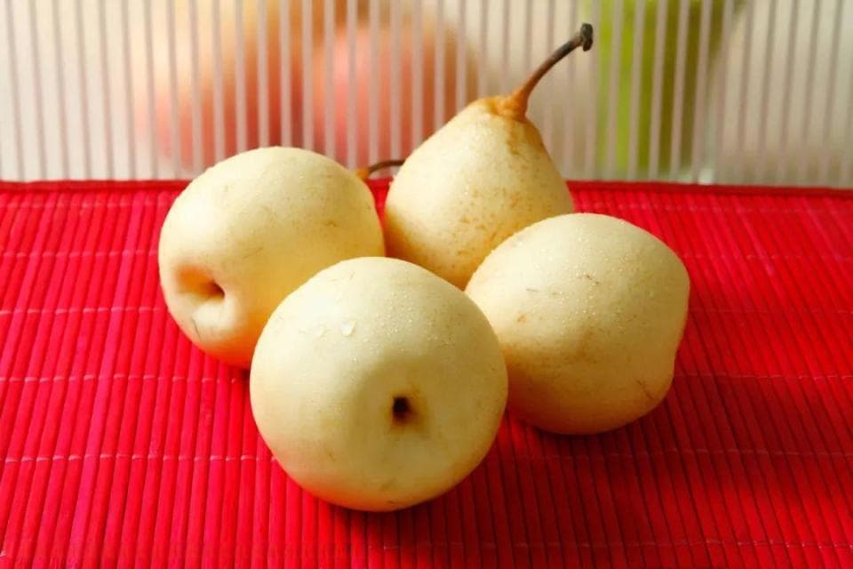 冰糖炖雪梨真的能止咳润肺吗？